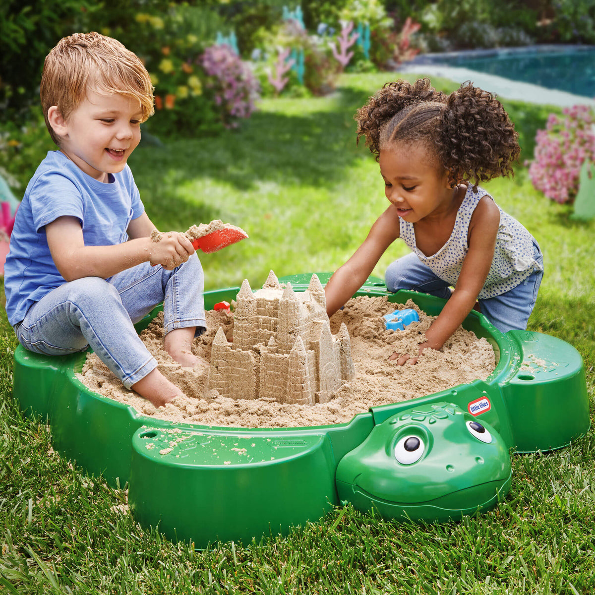 Turtle Sandbox - Image 4